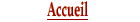 Retour à la page d'accueil